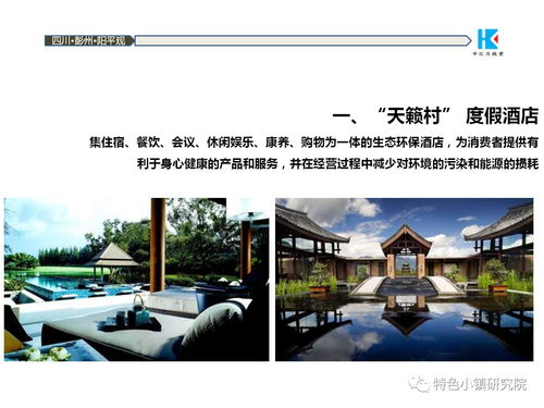 中國道源旅游度假小鎮項目策劃方案