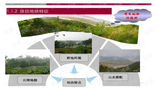 世聯(lián)重慶大型旅游地產(chǎn)項(xiàng)目策劃報(bào)告