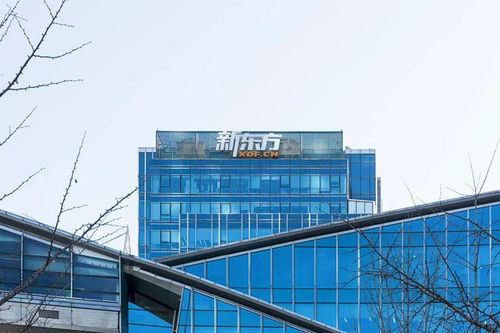 俞敏洪揮師旅游業 新東方老師轉型導游，10億布局背后的跨界邏輯與人才爭奪